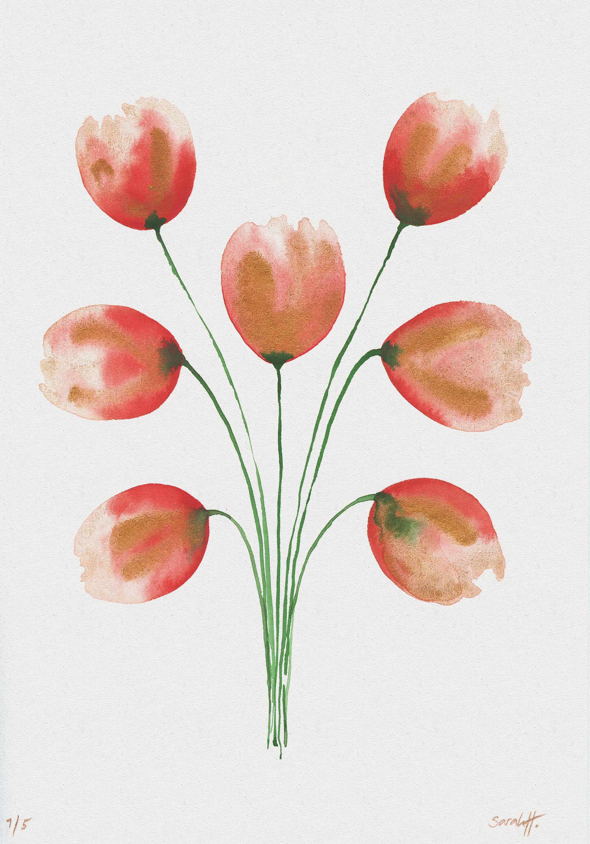 Tulip Serie Tulip 1/5