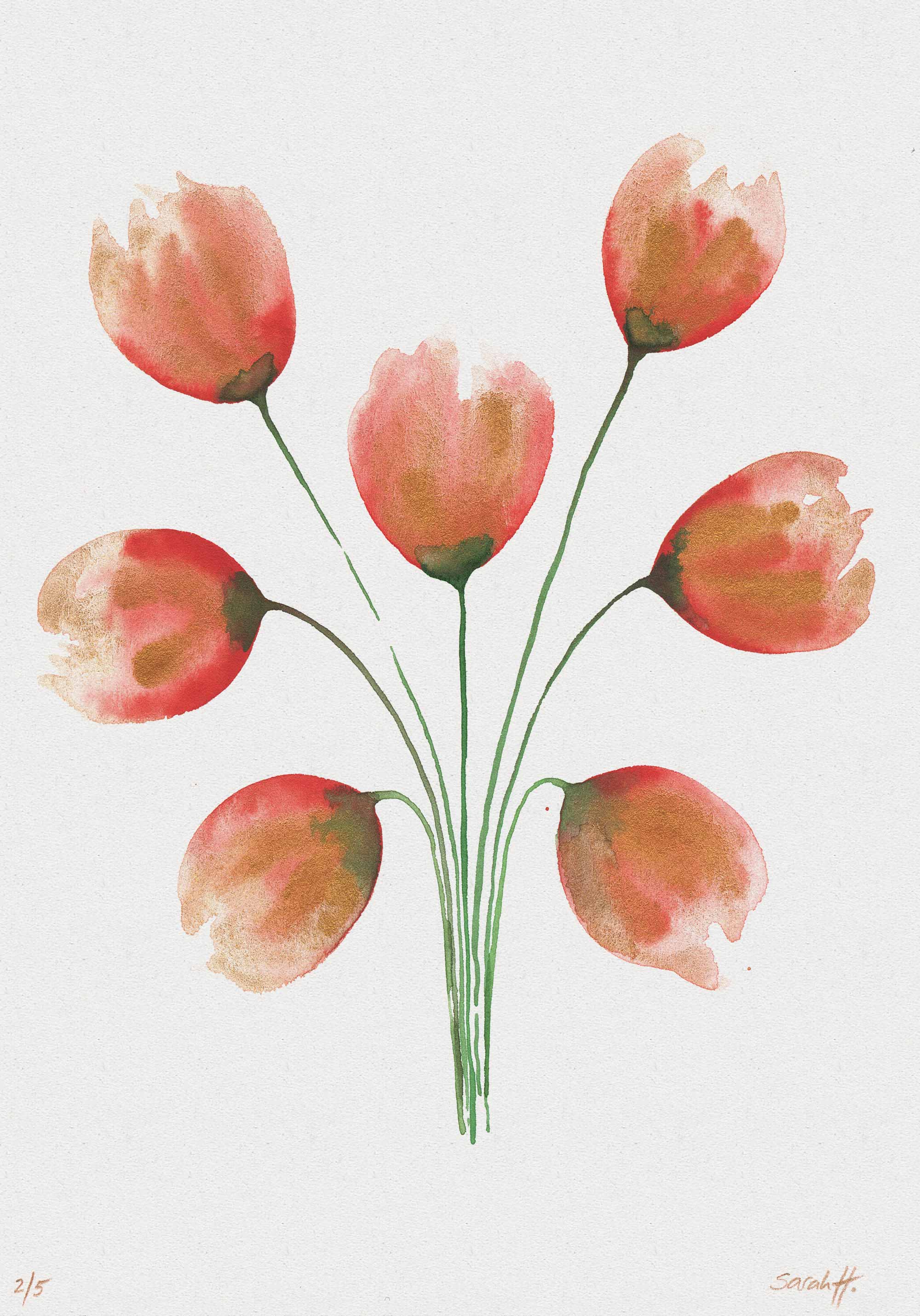 Tulip Serie Tulip 2/5