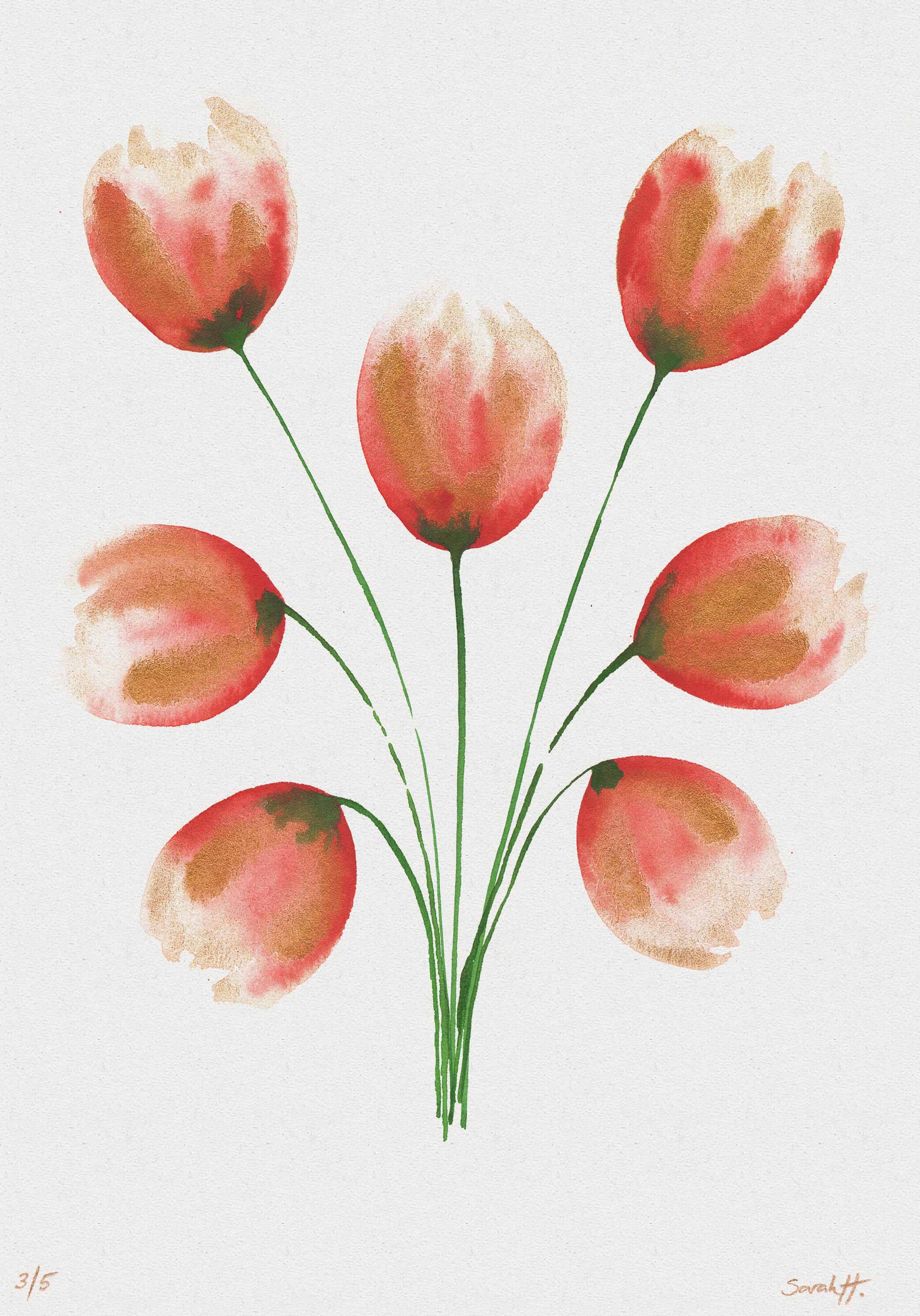 Tulip Serie Tulip 3/5