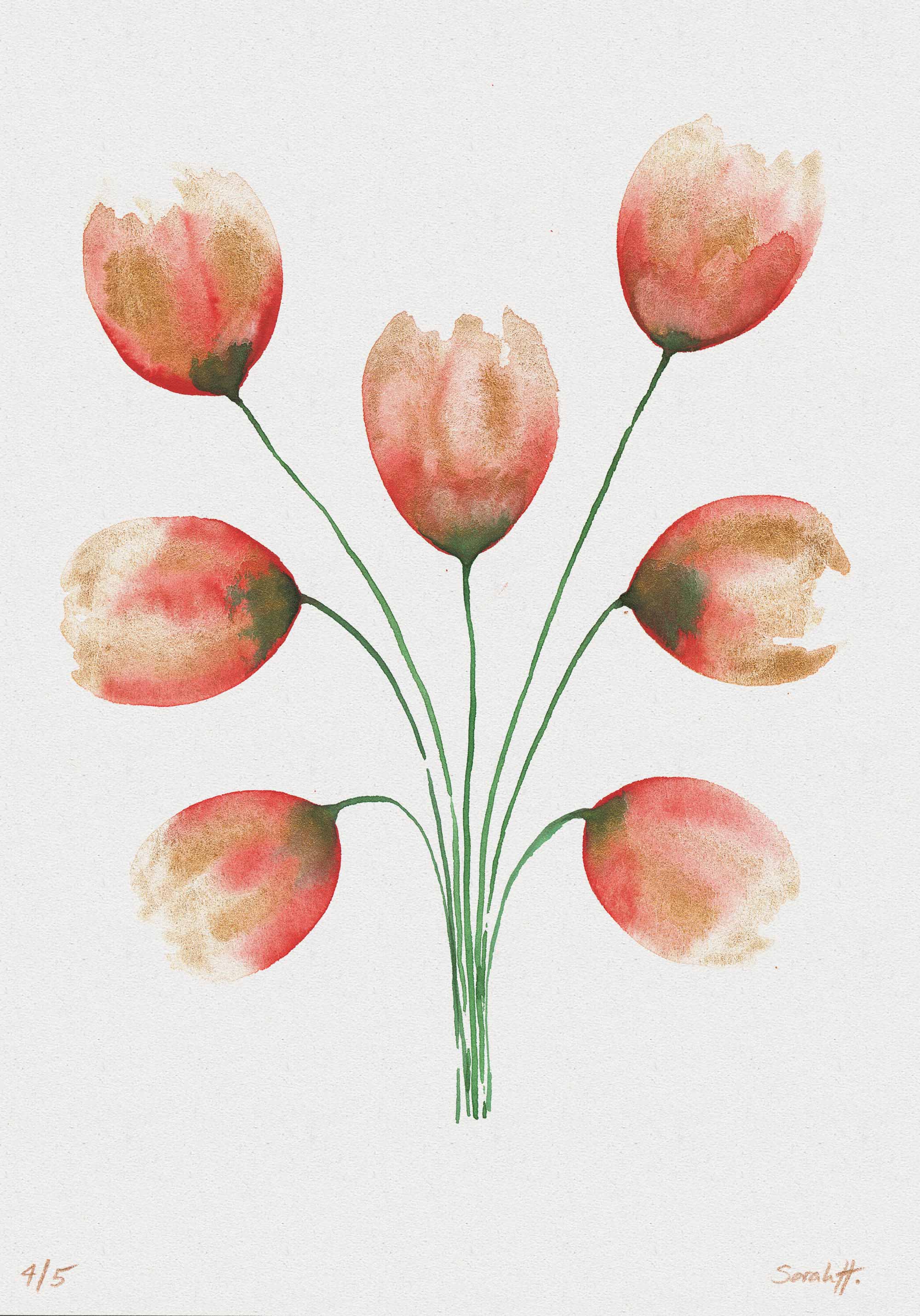 Tulip Serie Tulip 4/5