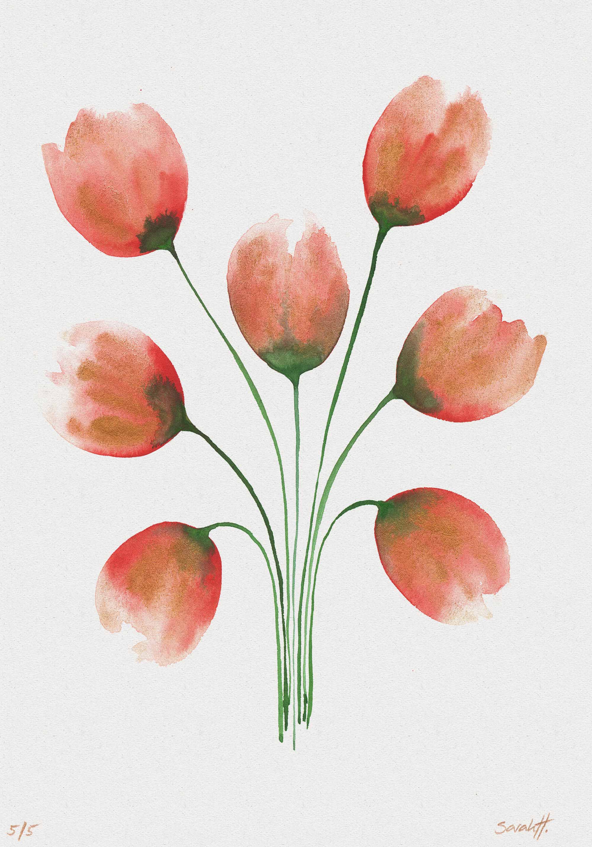 Tulip Serie Tulip 5/5